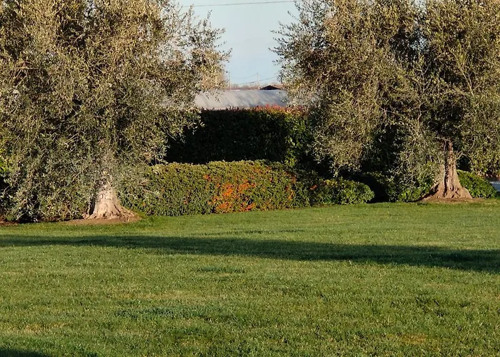 Letizia 4* San Vito (Rimini)