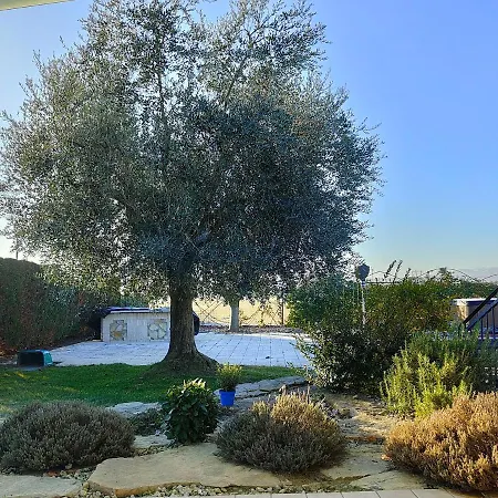 Letizia 4* San Vito (Rimini)