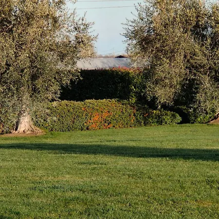 Letizia 4* San Vito (Rimini)