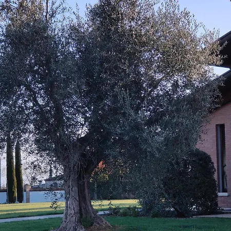 Letizia Bed & Breakfast San Vito (Rimini)