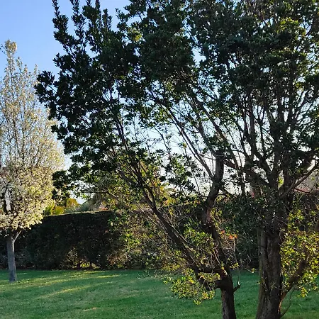 Letizia 住宿加早餐酒店