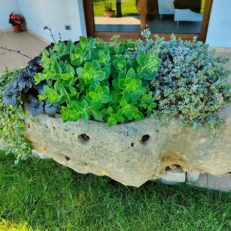 Letizia 住宿加早餐酒店 San Vito (Rimini)