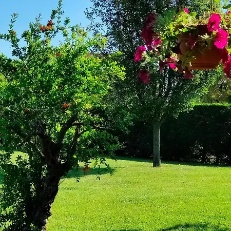 Letizia 住宿加早餐酒店 4*