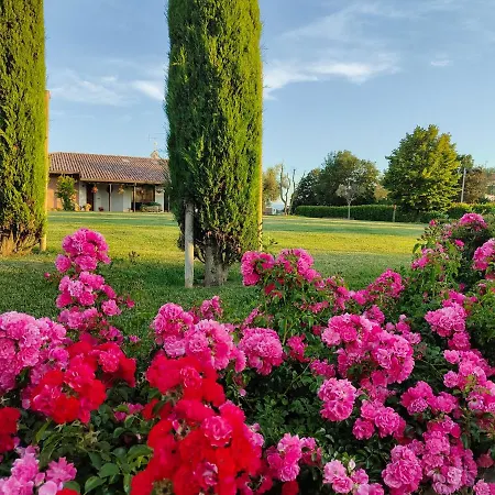 Letizia 住宿加早餐酒店 San Vito (Rimini)