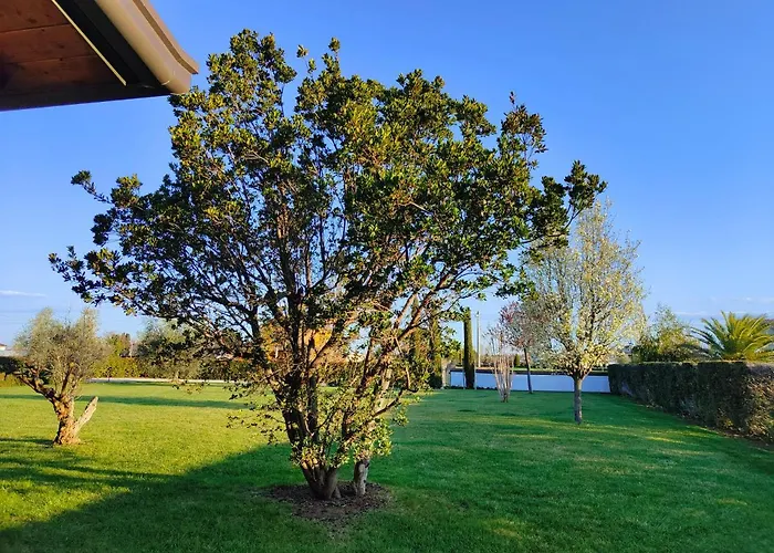 Bed and Breakfast Letizia San Vito (Rimini)