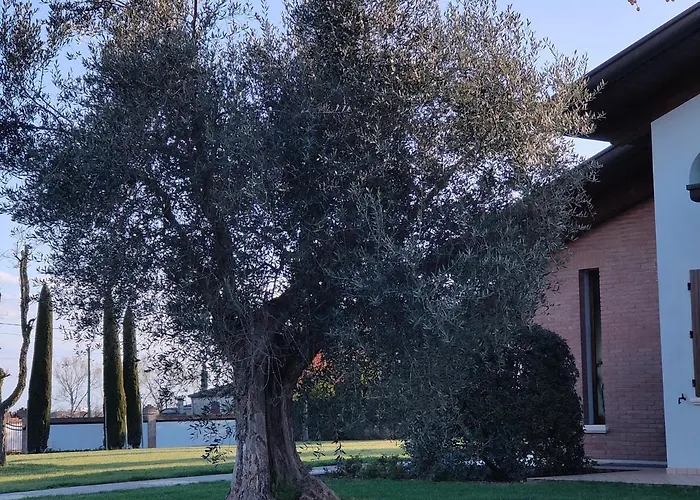 Letizia Bed and breakfast San Vito (Rimini)