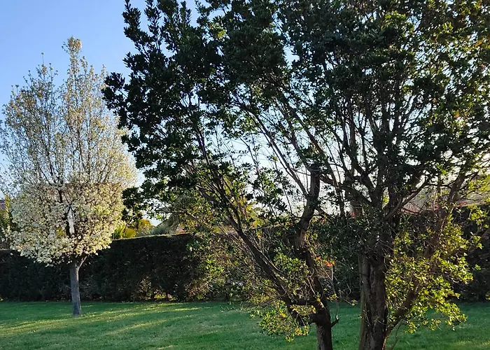 Letizia Bed & Breakfast