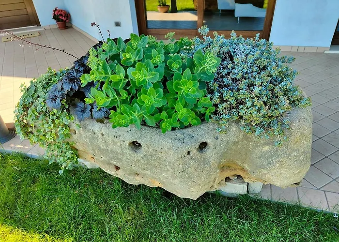 Letizia Bed and Breakfast San Vito (Rimini)