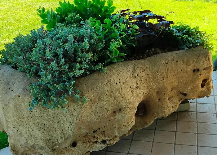 Letizia Bed and Breakfast 4*