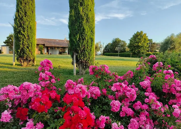 Letizia B&B San Vito (Rimini)