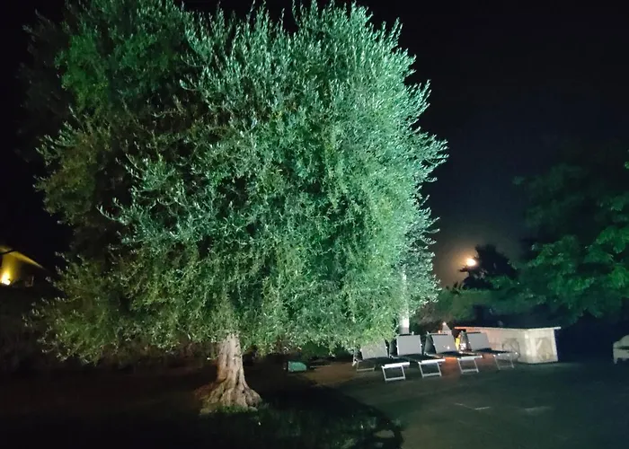 Bed and Breakfast Letizia 4*